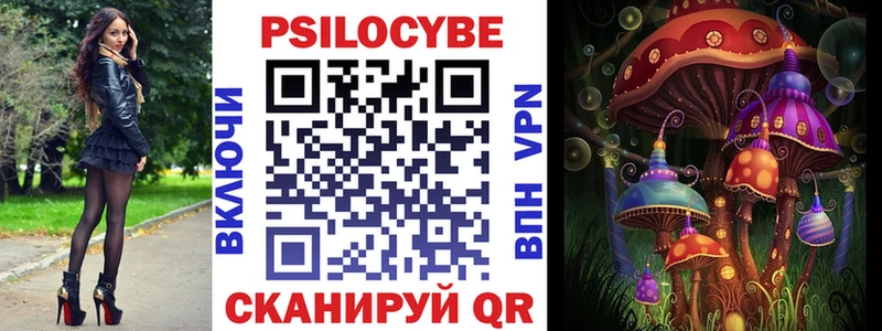 магазин    Морозовск  Галлюциногенные грибы Cubensis 